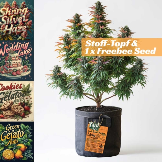 Grow Stofftopf Living Soil organicc